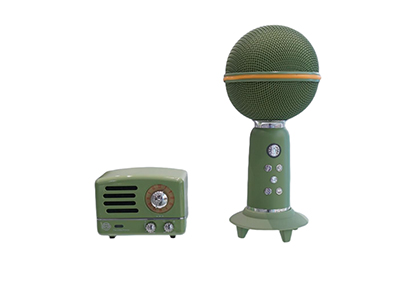 Elvis Presley Speaker